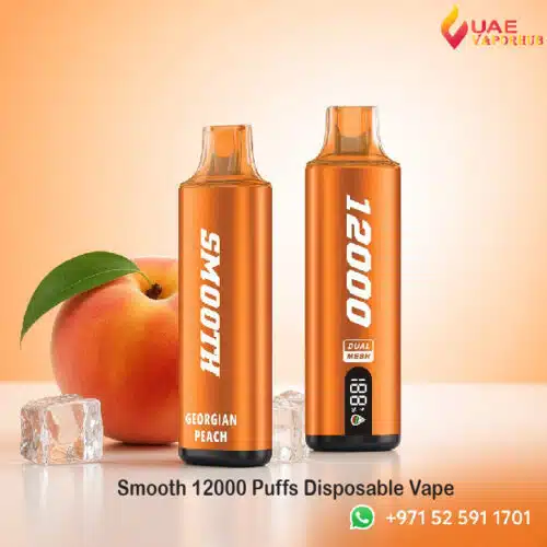 Smooth 12000 Puffs Rechargeable Disposable Vape at UAE Vapor Hub
